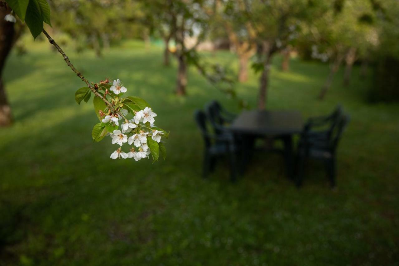 Gite Mattaincourt 外观 照片